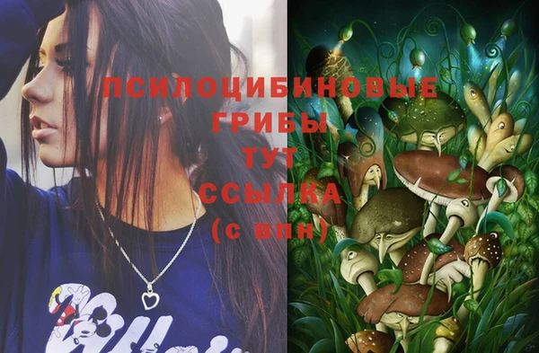 не бодяженный Алексин