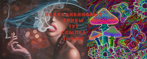 не бодяженный Алексин