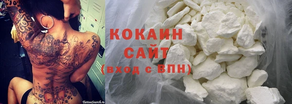 тгк Алзамай