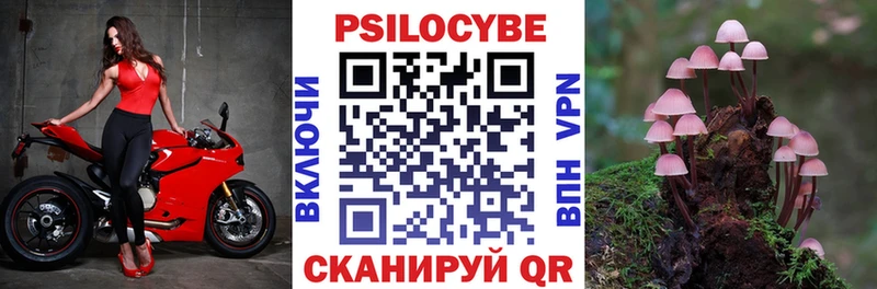 Галлюциногенные грибы прущие грибы  Бакал 